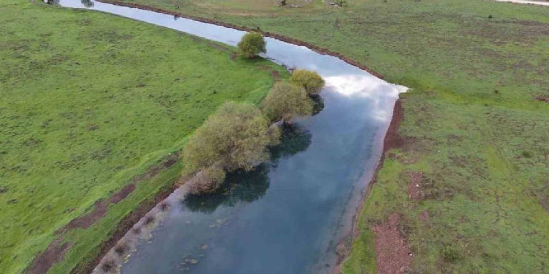 Tablo değil burası Konya: Baharla birlikte leyleklerin durağı yeşile büründü 7